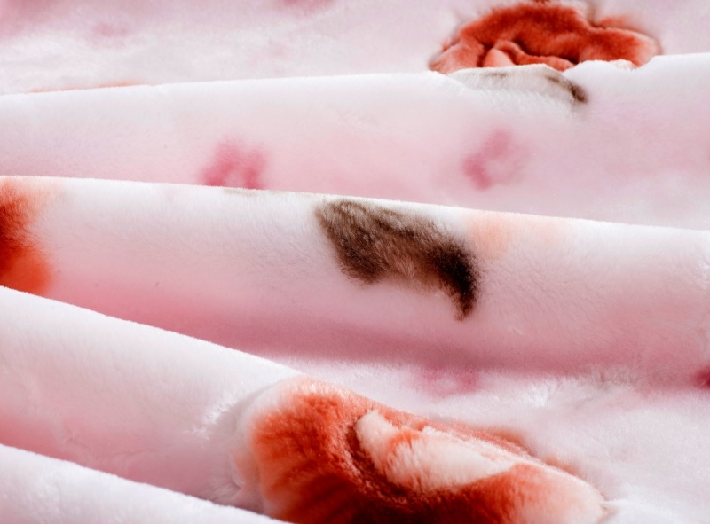  Flannel Fleece Blanket For Winter